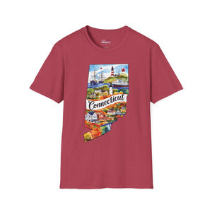 Connecticut Graphic Softstyle T-Shirt