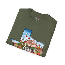 Load image into Gallery viewer, Texas Graphic Softstyle T-Shirt
