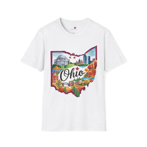 Ohio Graphic Softstyle T-Shirt