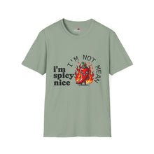 Load image into Gallery viewer, Spicy Nice T-Shirt