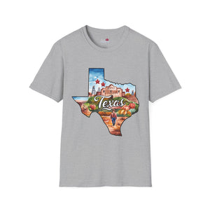 Texas Graphic Softstyle T-Shirt