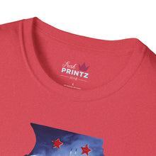 Load image into Gallery viewer, Illinois Graphic Softstyle T-Shirt