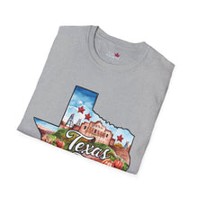 Load image into Gallery viewer, Texas Graphic Softstyle T-Shirt