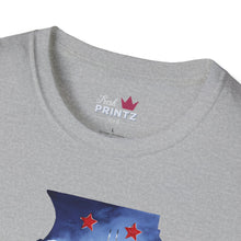 Load image into Gallery viewer, Illinois Graphic Softstyle T-Shirt