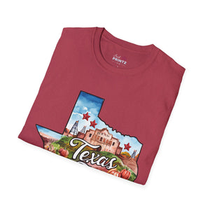 Texas Graphic Softstyle T-Shirt