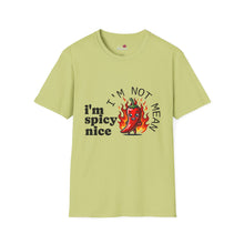Load image into Gallery viewer, Spicy Nice T-Shirt
