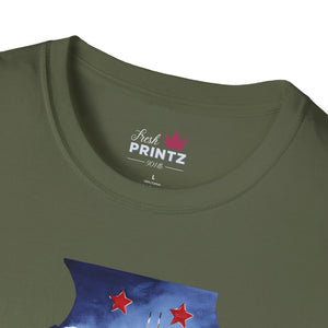 Illinois Graphic Softstyle T-Shirt