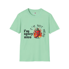 Load image into Gallery viewer, Spicy Nice T-Shirt