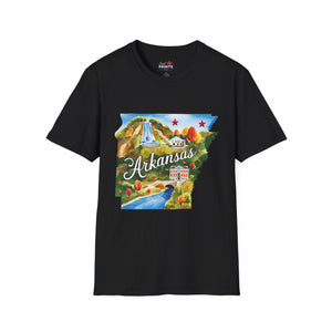 Arkansas Graphic Softstyle T-Shirt