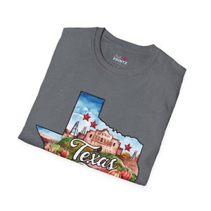 Texas Graphic Softstyle T-Shirt
