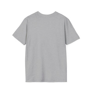 Delaware Graphic Softstyle T-Shirt