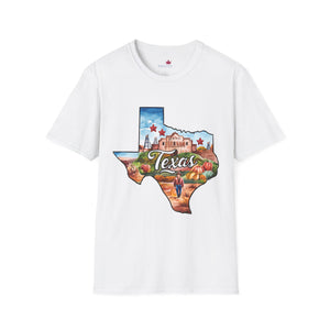 Texas Graphic Softstyle T-Shirt